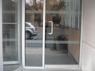 Vinyl Decals & Window Graphics