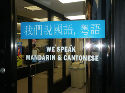Vinyl Decals & Window Graphics
