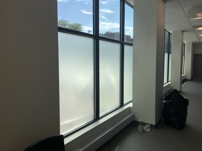 Privacy Film