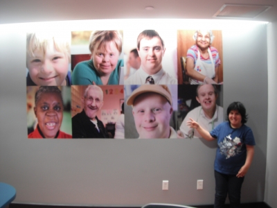 Digital Print Wall & Window 