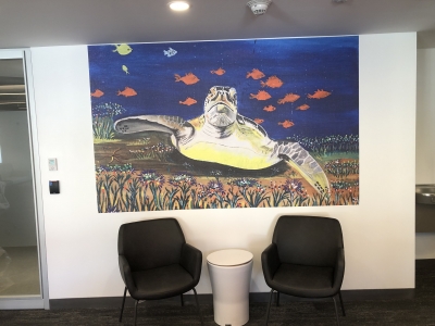 Digital Print Wall & Window 