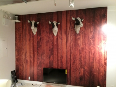 Digital Print Wall & Window 